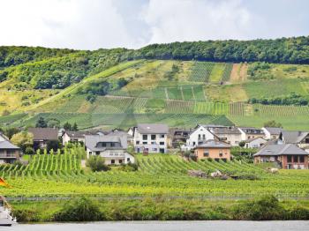 Ellenz Poltersdorf village and vineyards on Moselle riverbank, Germany