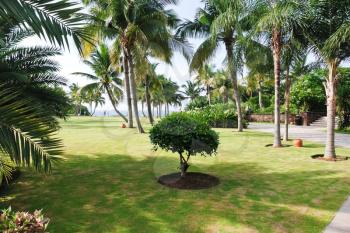 green lawn in resort on Hainan Island in summer day, China