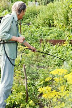 man spraying of insecticide on country garden in summer