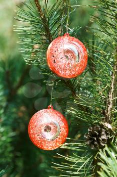 two red balls christmas tree decoration close up