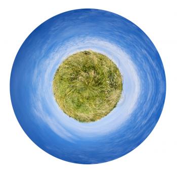 little planet - spherical planet with summer spikelet grass field isolated on white background