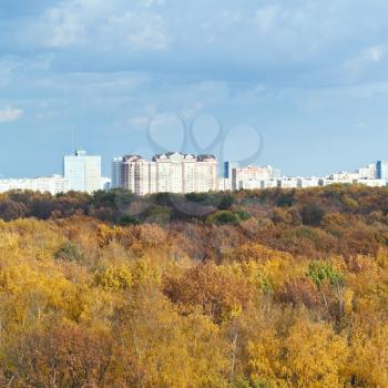 yellow forest, urban houses, blue clouds in autumn day