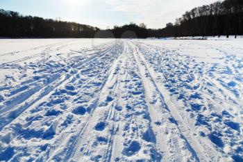 snowy field in cold winter sunny day