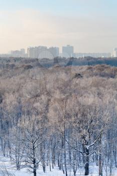 frost blue sky over city park in winter morning, Moscow