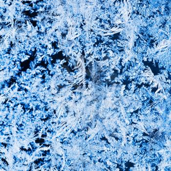 snowflakes and frost on glass close up - frosty blue and black pattern on window in cold winter day