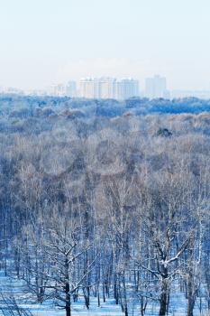 cold blue morning over city park in winter, Moscow