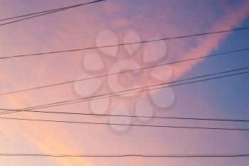 electrical conductors with pink sunset clouds in blue spring sky backgroud