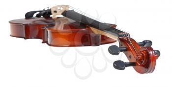 pegbox of classical wooden violin close up isolated on white background