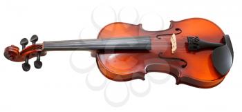 typical wooden fiddle isolated on white background