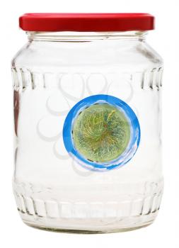 little country planet preserved in closed glass jar