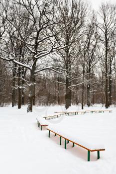 snow covered benches on glade of city park in winter