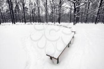 snowbound public area with benches in city park in winter