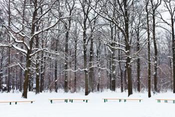 benches and trees under snow in city park in winter