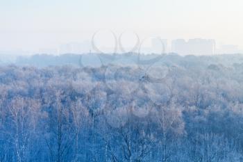 early morning over frozen forest and city in cold winter