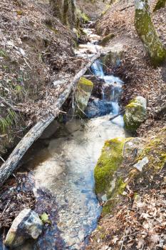 brook in mountain forest in spring in caucasus mountain