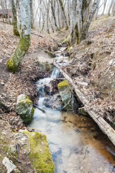 scenic with stream in mountain woods in spring in caucasus mountain