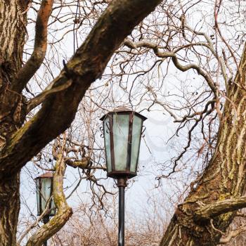 outdoor lanterns between tree branches in urban park in early spring day