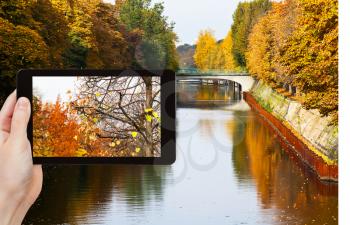 travel concept - tourist taking photo of yellow trees in autumn on mobile gadget near landwehr canal, Berlin, Germany