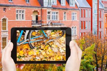 travel concept - tourist takes picture of yellow leaves on street in autumn on smartphone, Berlin, Germany