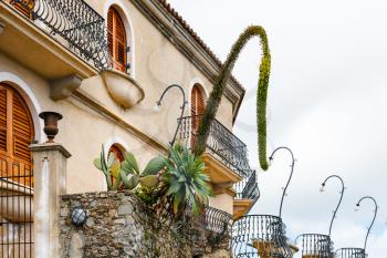 agave flowers and Opuntia cactus in flower beds near house in Savoca village, Sicily in spring