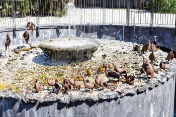 CATANIA, ITALY - APRIL 5, 2015: fountain in Bellini Garden in Catania, Sicily in spring. Bellini Garden is in via Etnea, the most beatiful part of Catania, and its surface is over 70000 square meters