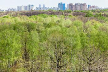 modern urban houses and green forest in spring day