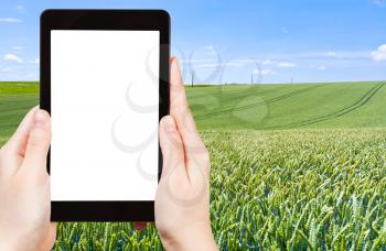 travel concept - tourist photograph green wheat field under blue sky in France on tablet pc with cut out screen with blank place for advertising logo