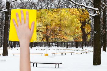 season concept - hand deletes snowy oak trees by yellow cloth from image and yellow autumn woods is appearing
