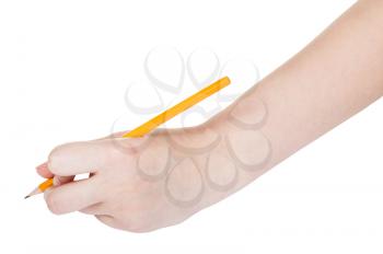 hand draws by lead pencil isolated on white background