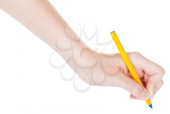 hand drafts by blue pen isolated on white background