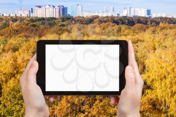 season concept - hands holds tablet pc with cut out screen and yellow forest and city on background