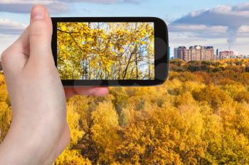 season concept - man taking photo of yellow trees in autumn forest on smartphone