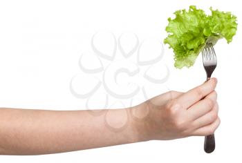 hand holding dinning fork with impaled fresh leaf lettuce isolated on white background