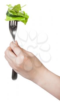 hand holding dinning fork with fresh green salad isolated on white background