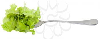 fork with impaled fresh green lettuce isolated on white background
