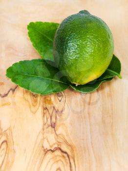 fresh green kaffir lime fruit with leaves on wooden board