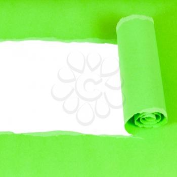 bottom view of green rolled-up torn paper on white isolated square background