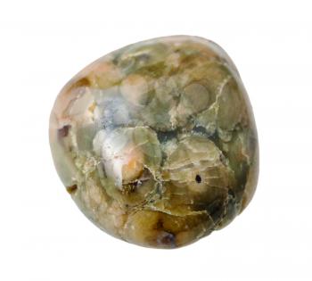 natural mineral gem stone - Green Rhyolite (Rainforest Jasper) gemstone isolated on white background close up