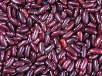 food background - raw dark red kidney beans