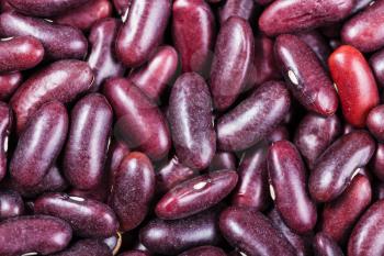 food background - many raw dark red common kidney beans close up