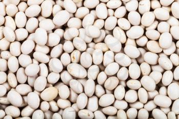 food background - raw white haricot navy beans