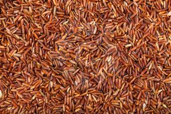 food background - uncooked long grain Red Kernel rice
