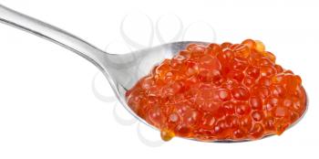 Red caviar of Sockeye salmon fish on spoon isolated on white background