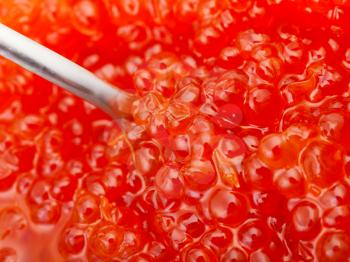 spoon in red salmon fish salty red caviar close up