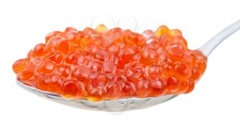 side view of salty Sockeye salmon Red caviar on spoon close up isolated on white background