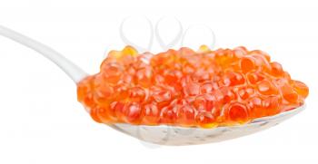 side view of salty Red caviar of Sockeye salmon fish on spoon isolated on white background