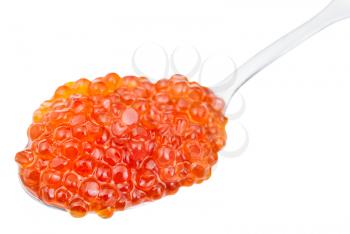 spoon with salty Red caviar of Sockeye salmon fish isolated on white background
