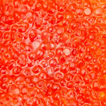 square food background - red salmon fish red caviar close up