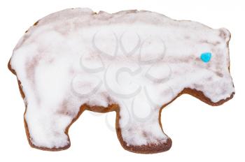 homemade Christmas festive glazed gingerbread cookie - bear figure cookie isolated on white background