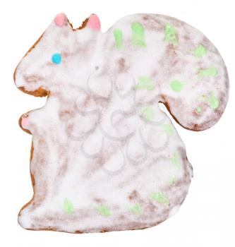 homemade Christmas festive glazed gingerbread cookie - squirrel figure cookie isolated on white background